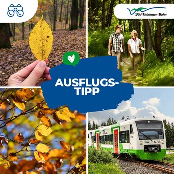 🌲 Wann warst du das letzte Mal auf dem Rennsteig wandern? 👣

Unser RennsteigShuttle bringt dich an Wochenenden und Feiertagen im 2-Stundentakt vom Hbf Erfurt über Arnstadt und Ilmenau direkt zum Bf Rennsteig. 🚆 Von dort aus kannst du auf...